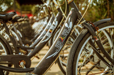 藏嘉Linda向你講述鳳凰牌自行車的故事