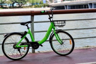 香港首推共享單車服務 3輛自行車被丟入河中