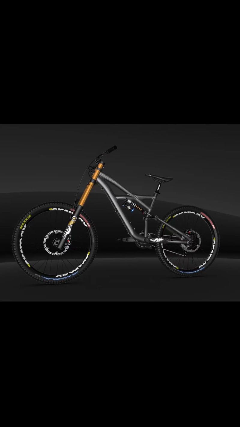 #雙輪驅動bike #崔克蝴蝶自行車 #騎行city不city